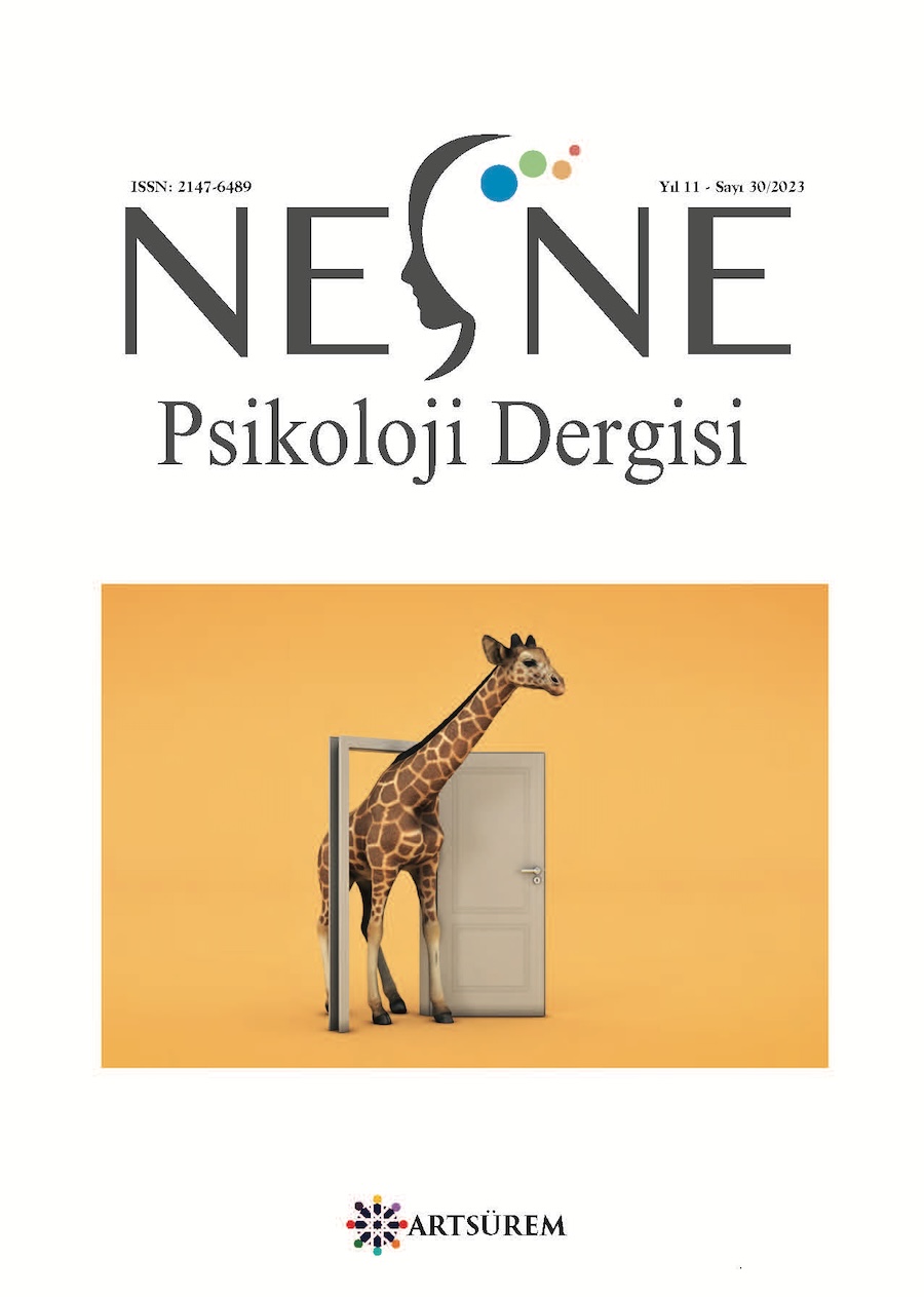 Cilt 11 Sayı 30 kapak